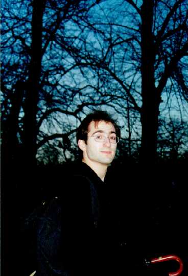 some trees and an umbrella